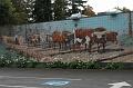 Chemainus (27)